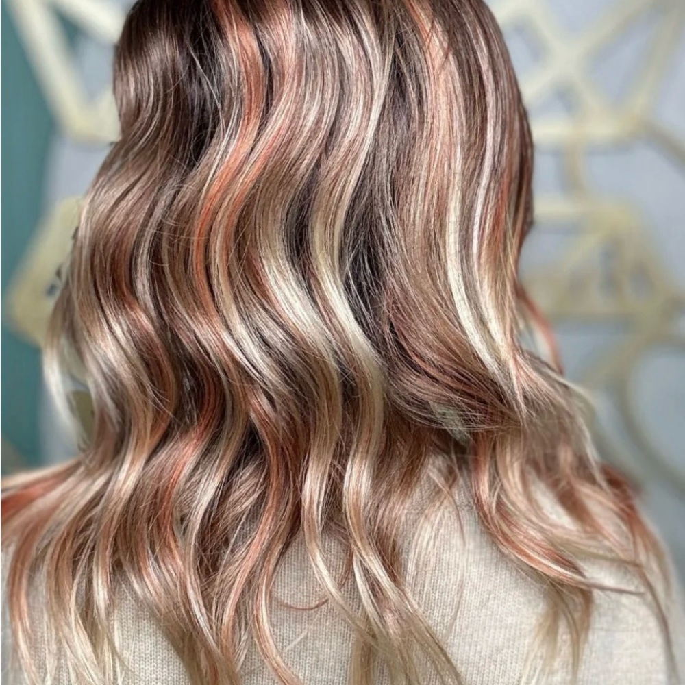 CSC Shiloh (Pumpkin Spice) - Picture 4 of 7